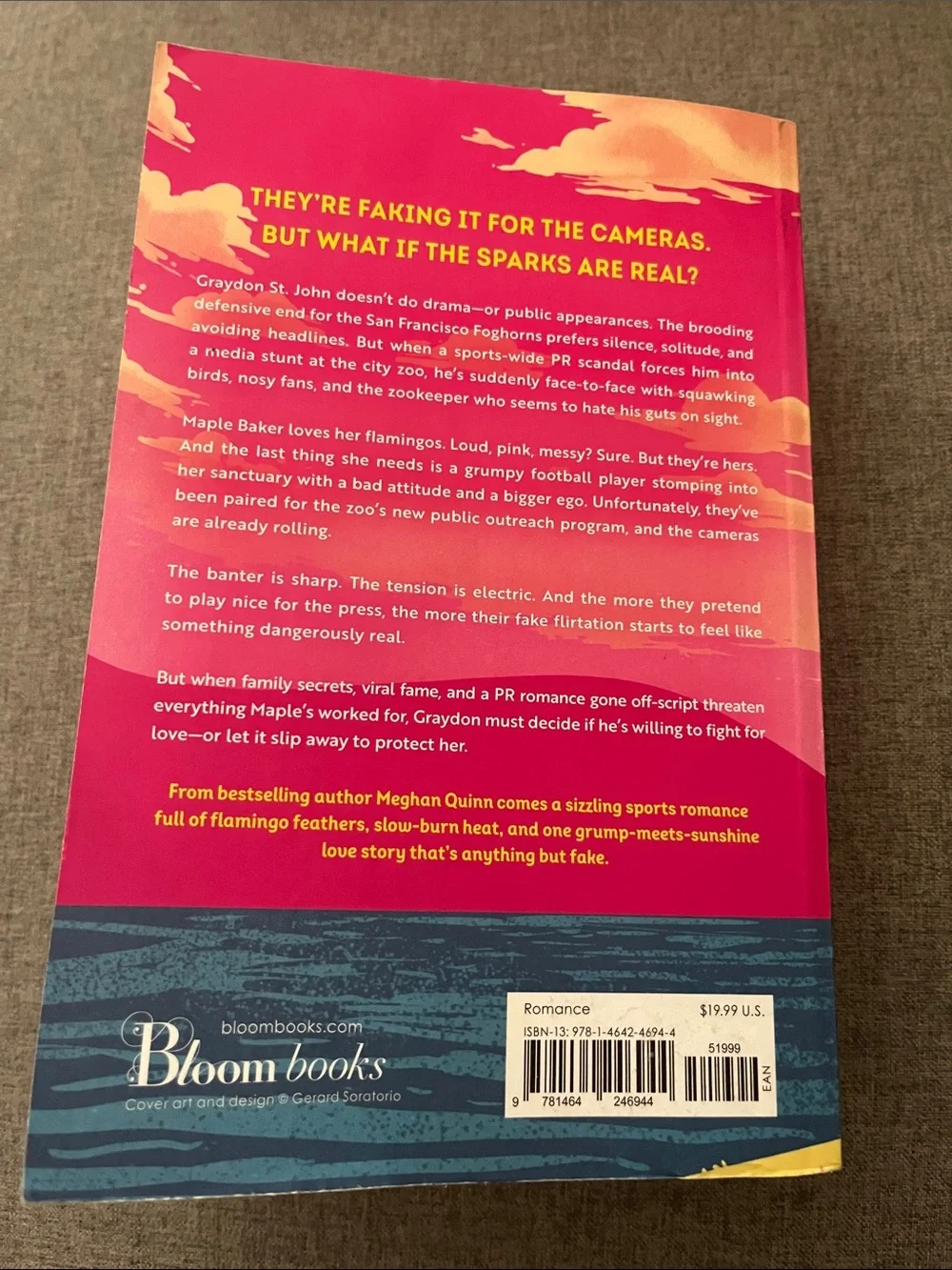 Just for the Cameras - Meghan Quinn Published by Bloom Books